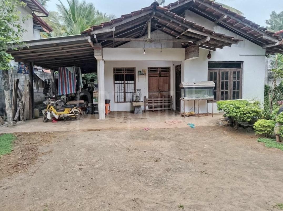 premium-listing-image