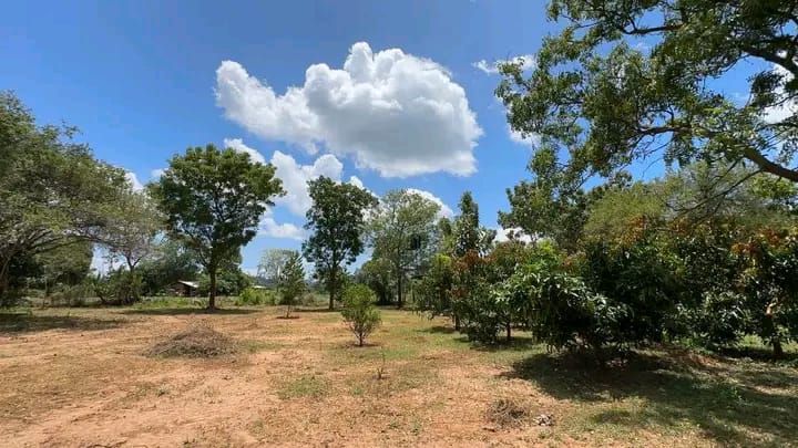 Residential Land for Sale in Kataragama ads-image-1