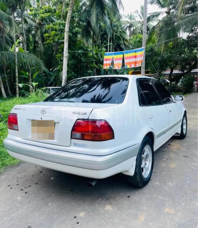 Toyota Corolla 1996 - பயன்படுத்தப்பட்டது கார் sale in Sri Lanka - patpat.lk