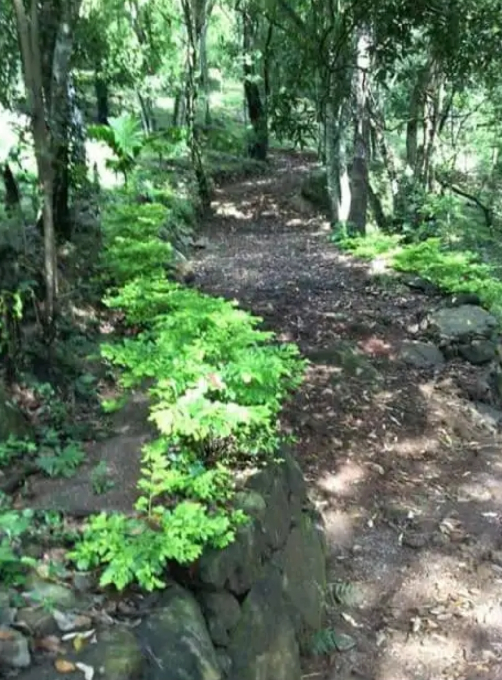 Commercial Land for Sale in Belihuloya