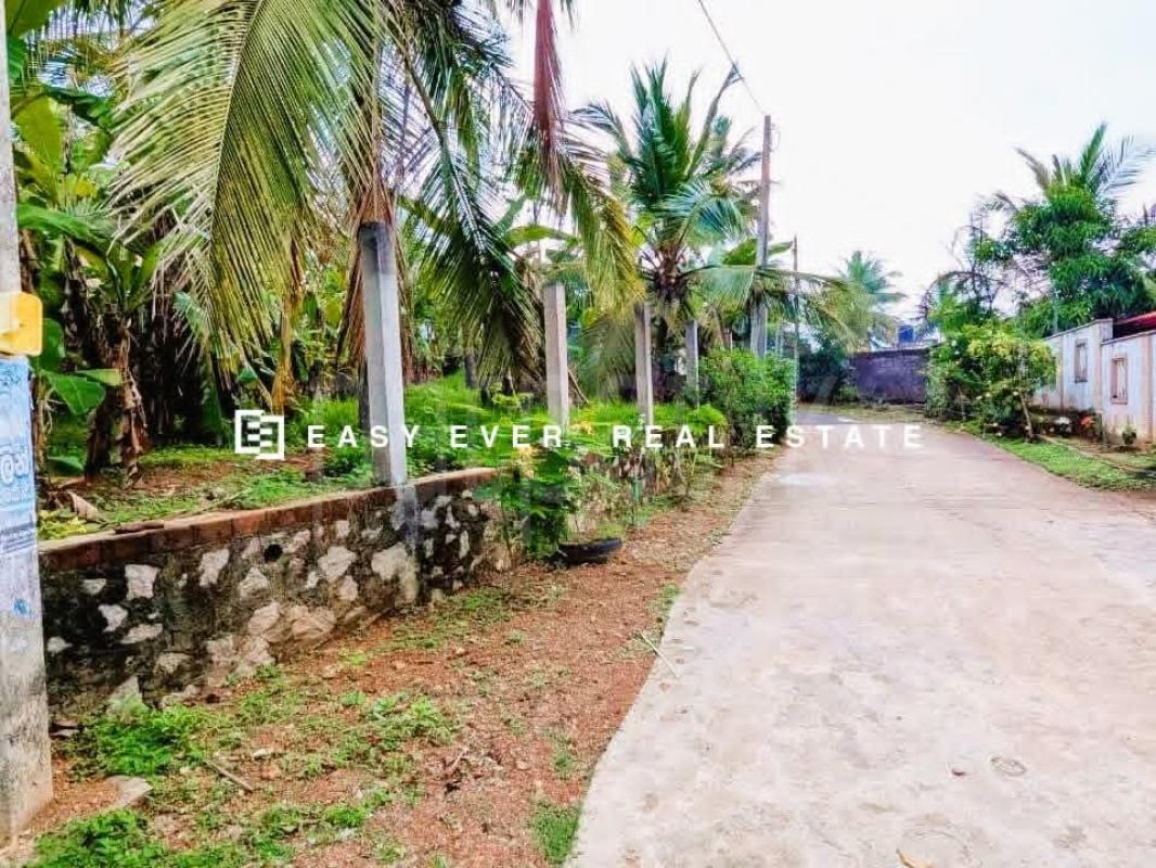 Residential Land for Sale in Ganemulla