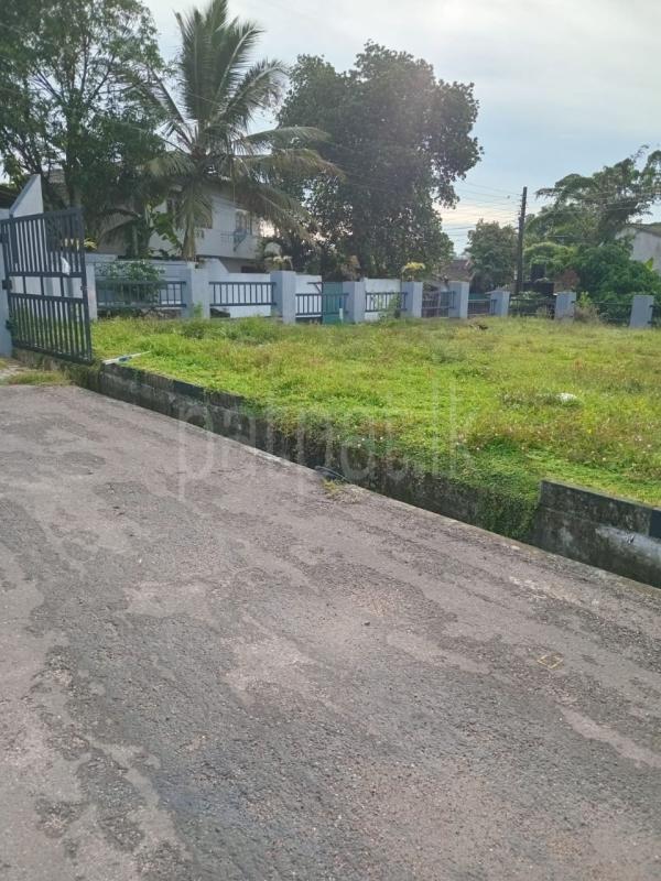 premium-listing-image