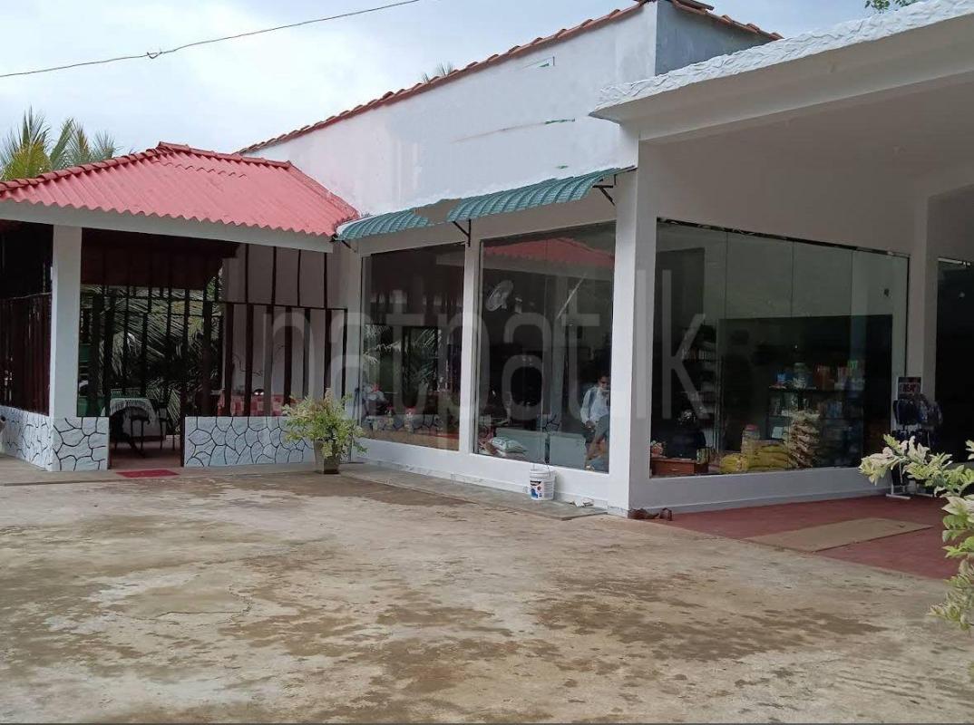 Advertisement image 6