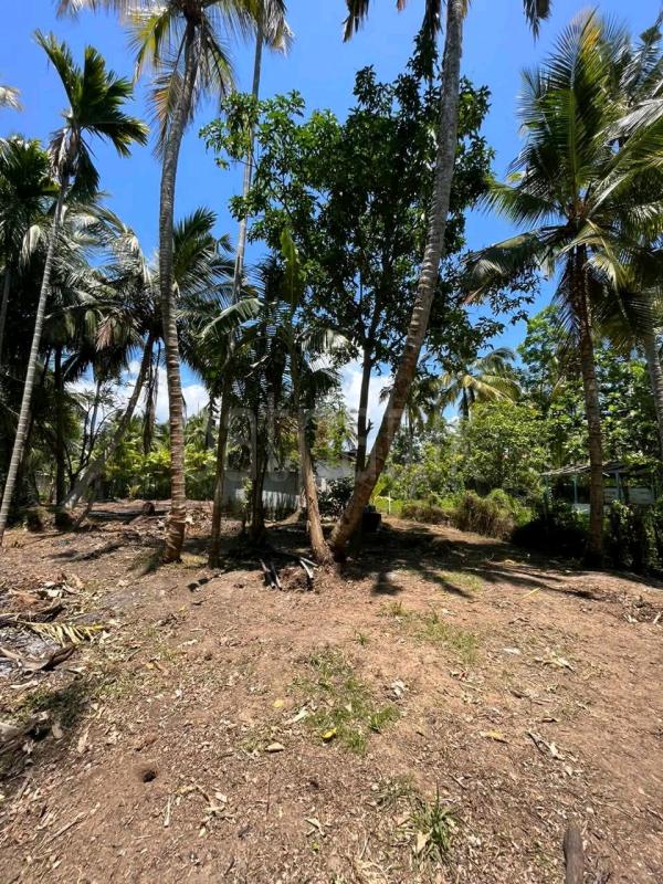 Residential Land for Sale in Maggona ads-image-1