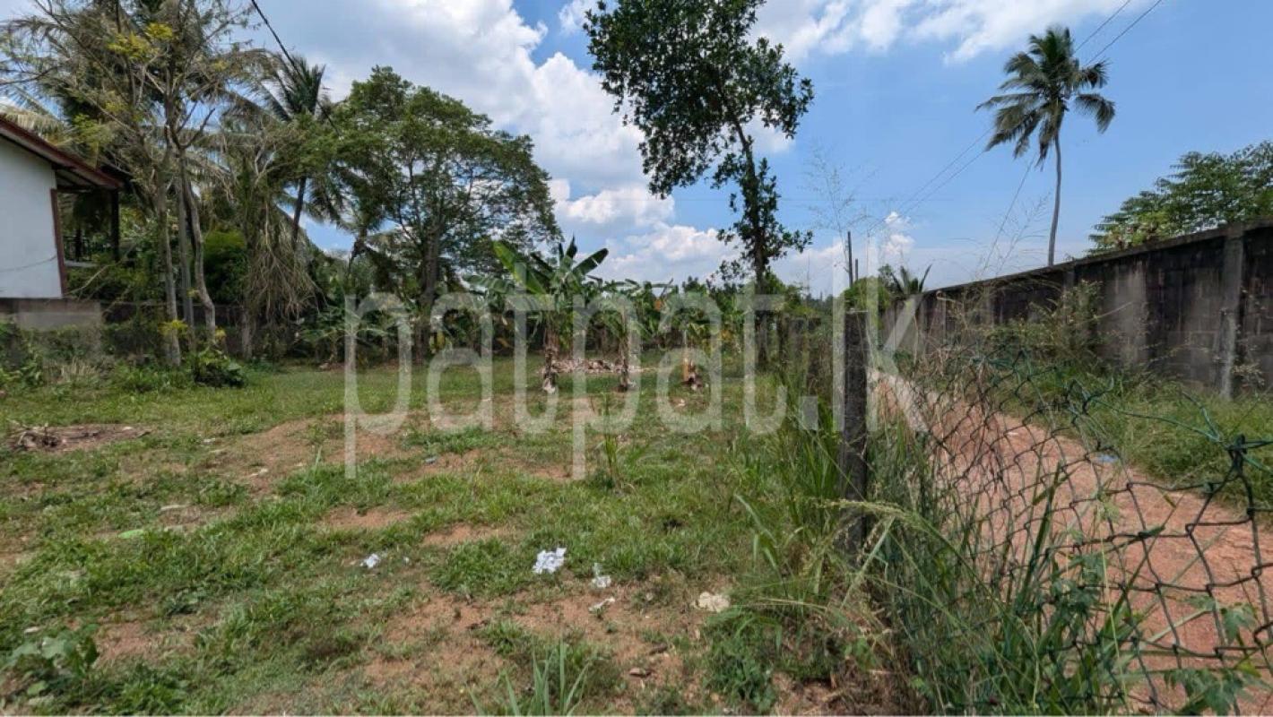 Residential Land for Sale in Gampaha