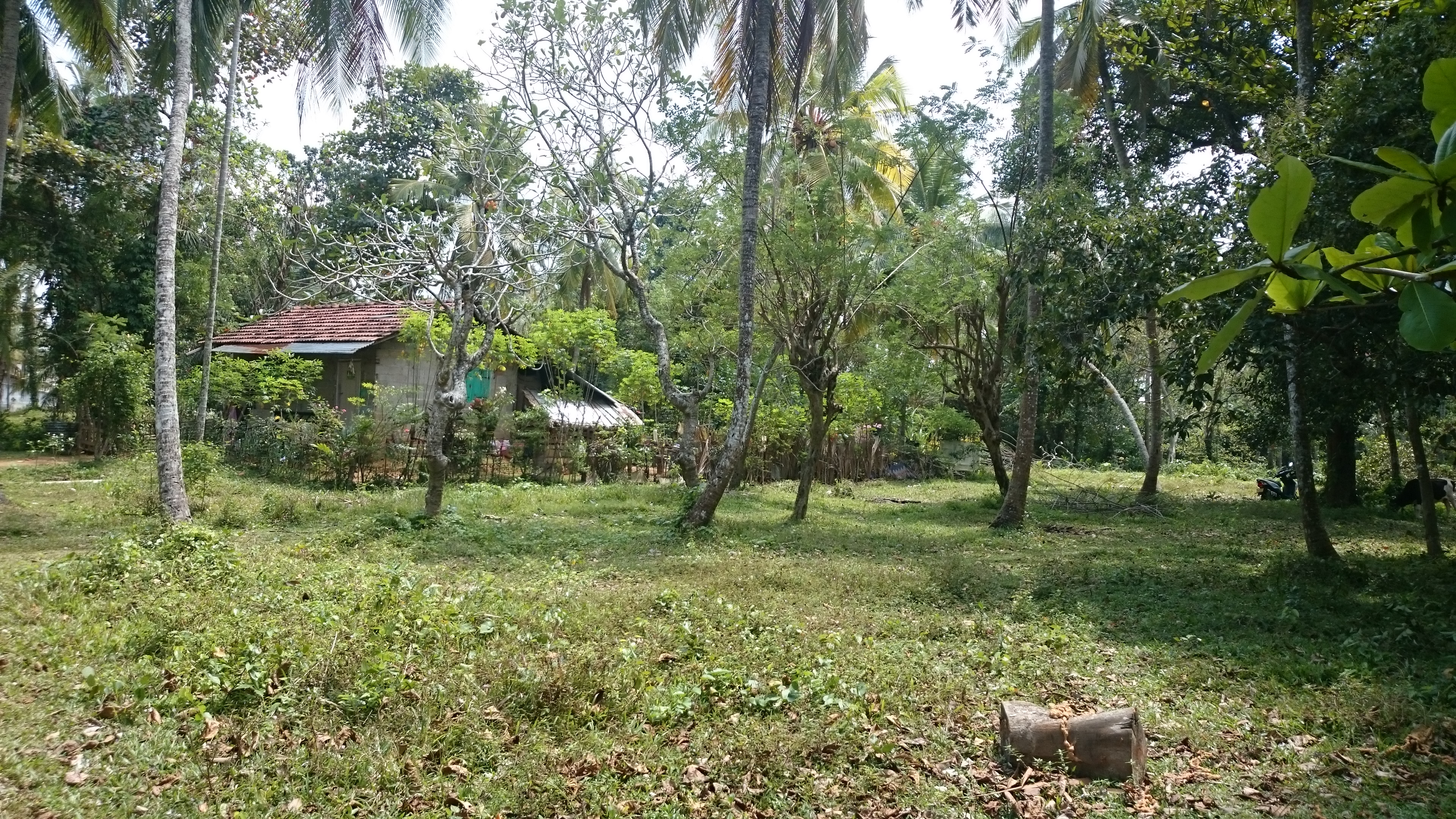 Commercial Land for Rent in Kelaniya