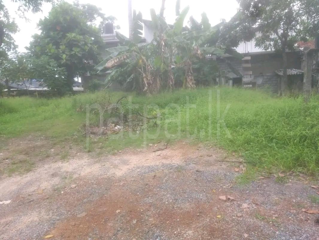 Residential Land for Sale in Kottawa