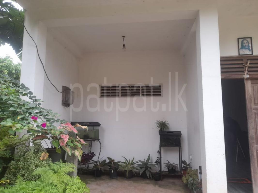 House for Sale in Ekala ads-image-1