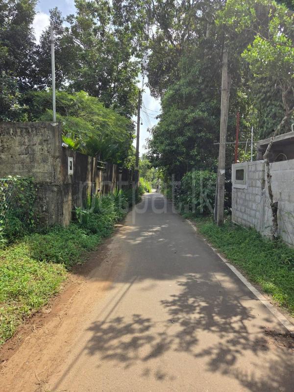 Residential Land for Sale in Homagama
