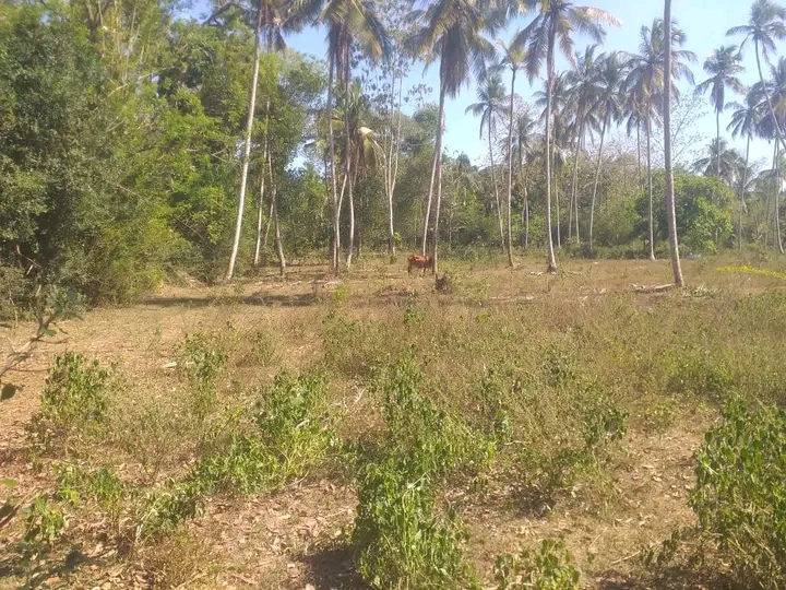 Commercial Land for Sale in Hambantota