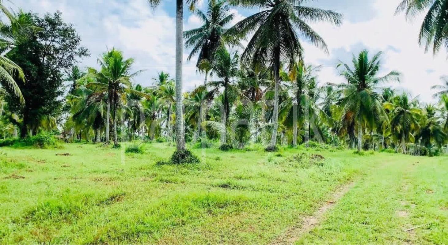 Agricultural Land for Sale in Gampaha