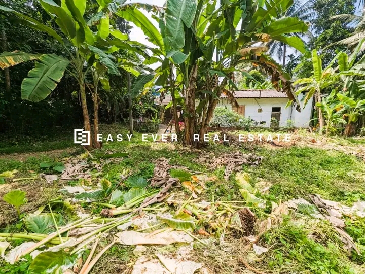 Commercial Land for Sale in Minuwangoda