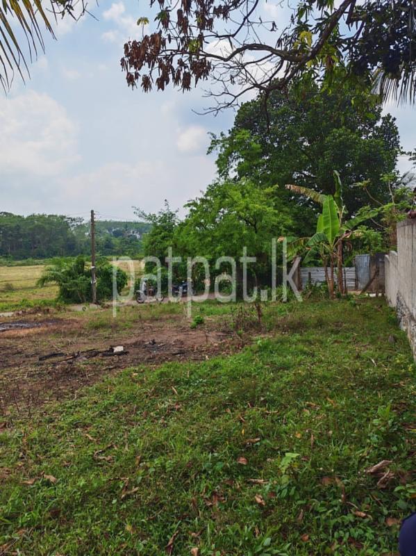 Commercial Land for Sale in Horana