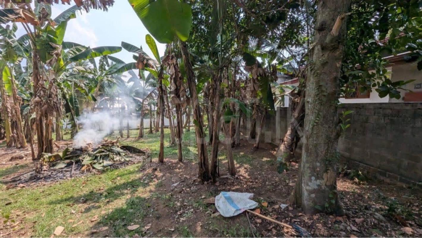 Residential Land for Sale in Weliveriya