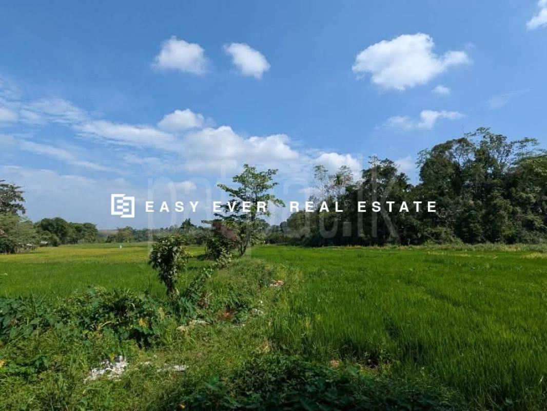 Residential Land for Sale in Avissawella