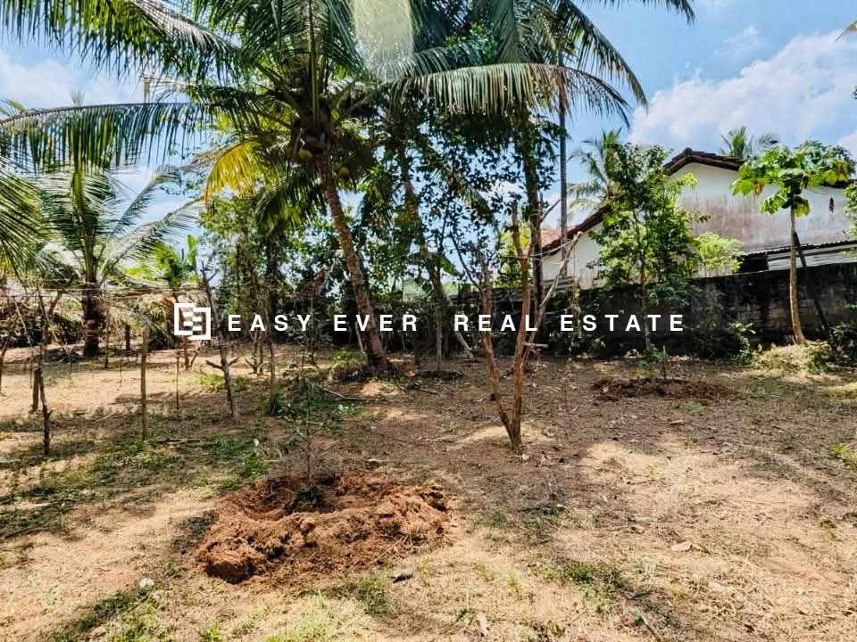 Residential Land for Sale in Hanwella