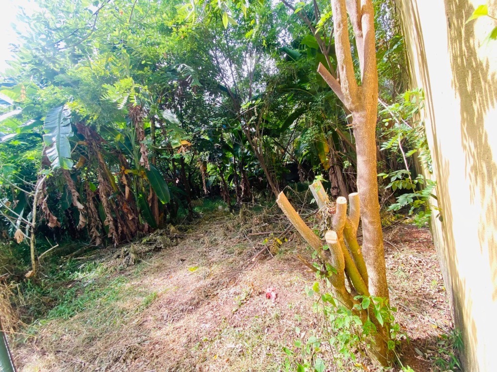 Residential Land for Sale in Nugegoda
