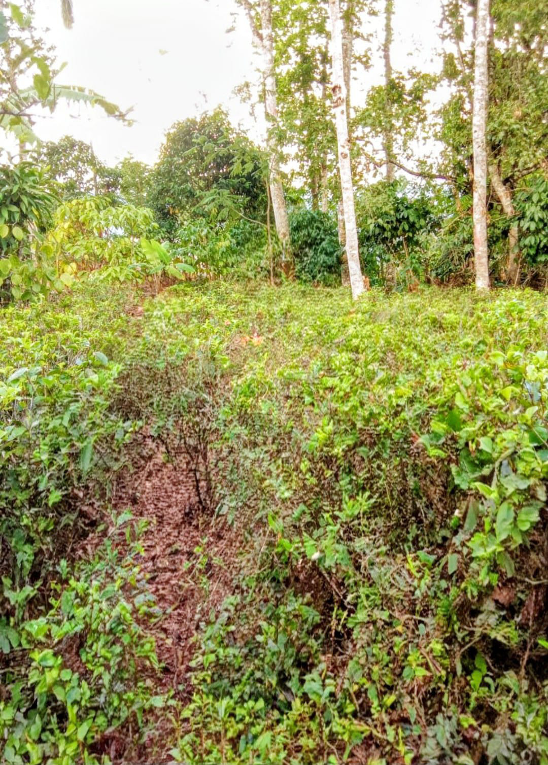 Commercial Land for Sale in Kotmale