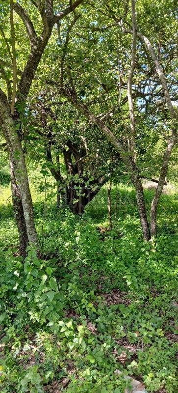 Residential Land for Sale in Kataragama