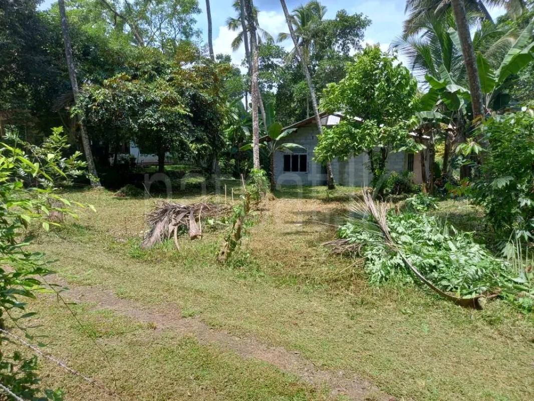 Agricultural Land for Sale in Gampola