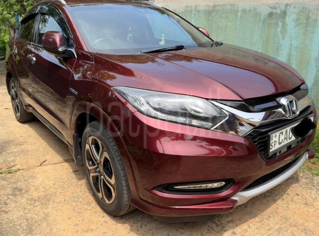 Advertisement image 2