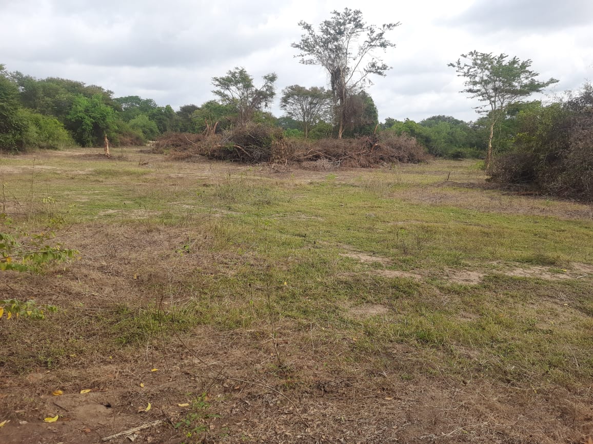 Agricultural Land for Sale in Galgamuwa