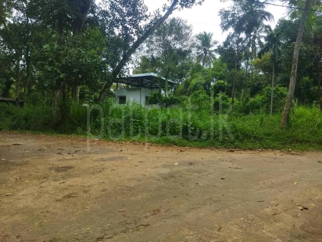 Agricultural Land for Sale in Ridigama