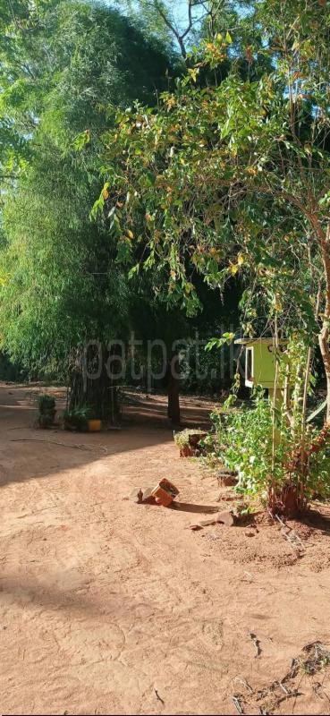 Residential Land for Sale in Kataragama
