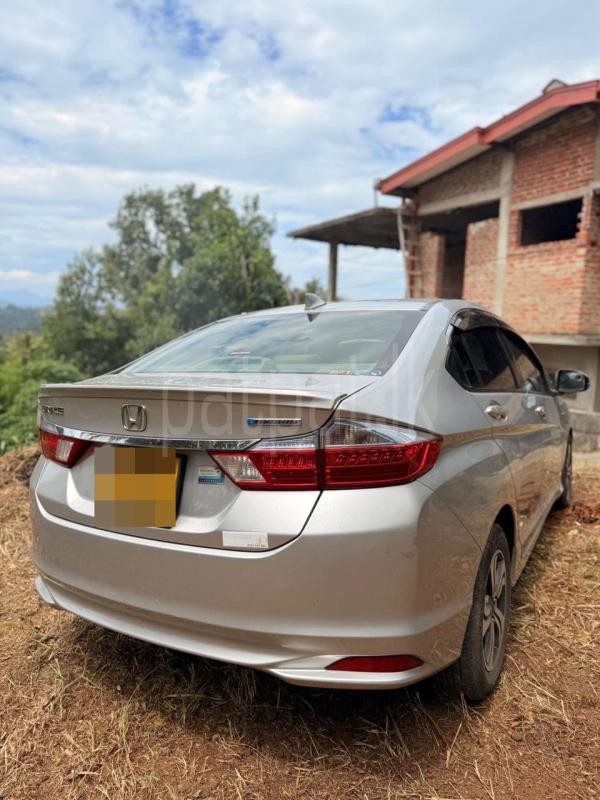 Advertisement image 3