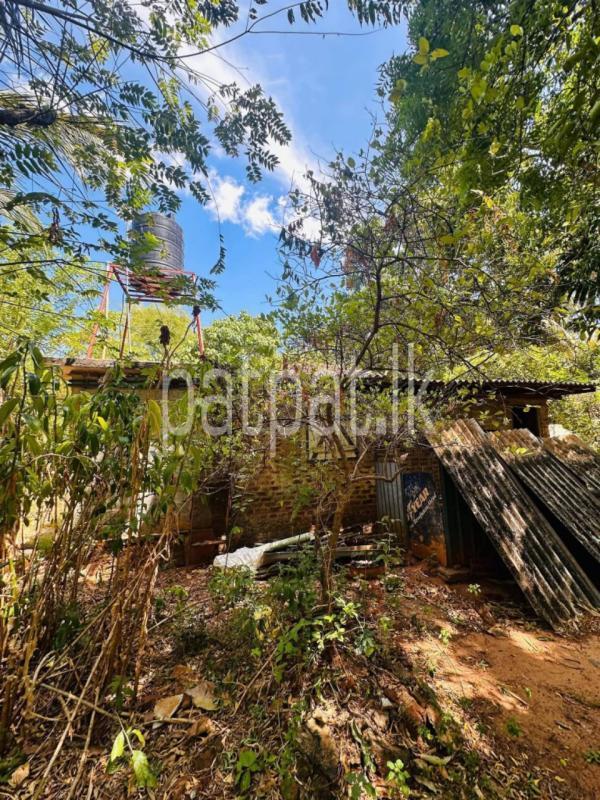 Advertisement image 6