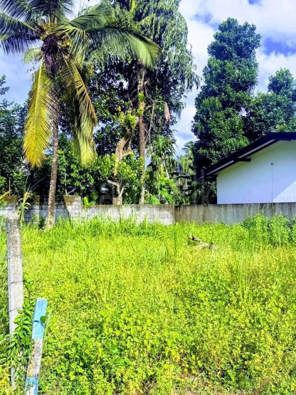 Commercial Land for Sale in Athurugiriya