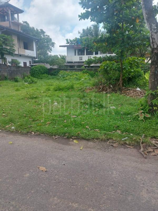 Agricultural Land for Sale in Bokalagama ads-image-1