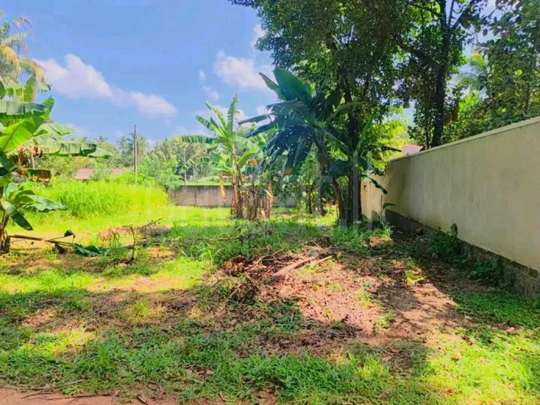 Commercial Land for Sale in Veyangoda
