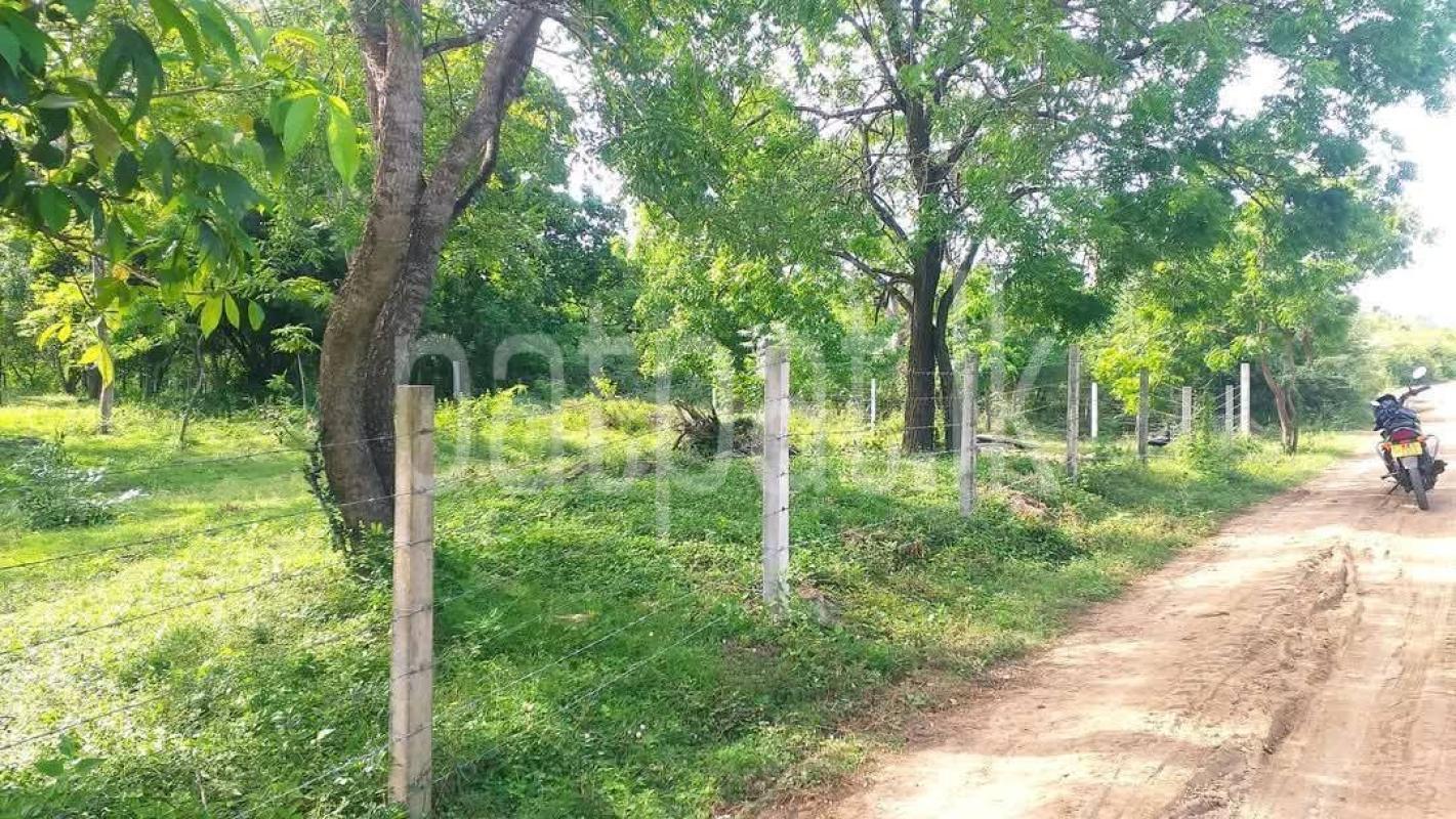 Residential Land for Sale in Kataragama