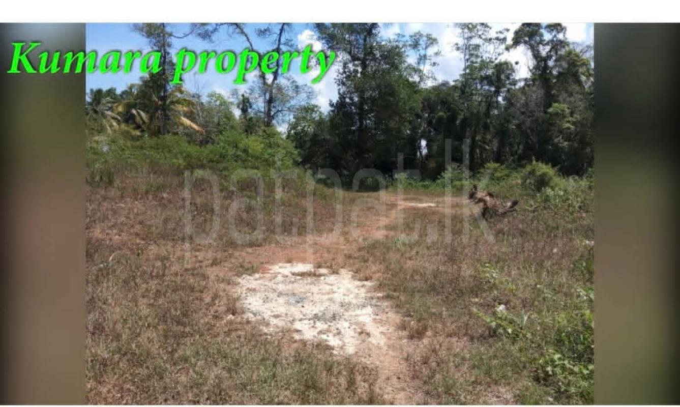 Residential Land for Sale in Panadura