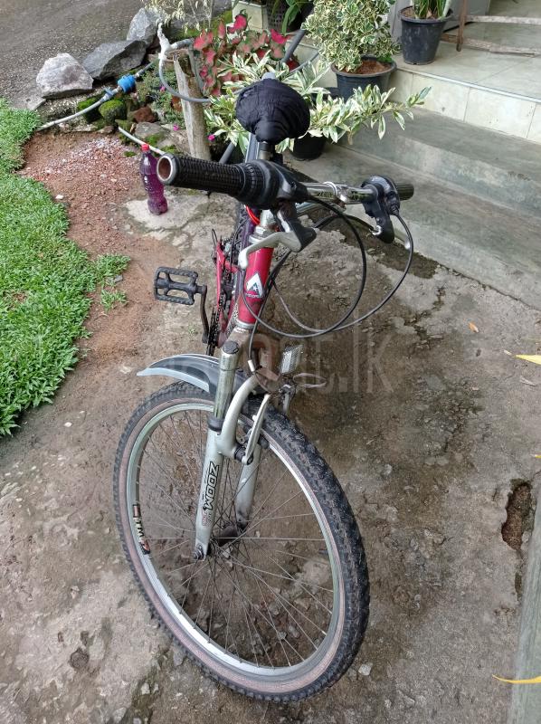 Advertisement image 5