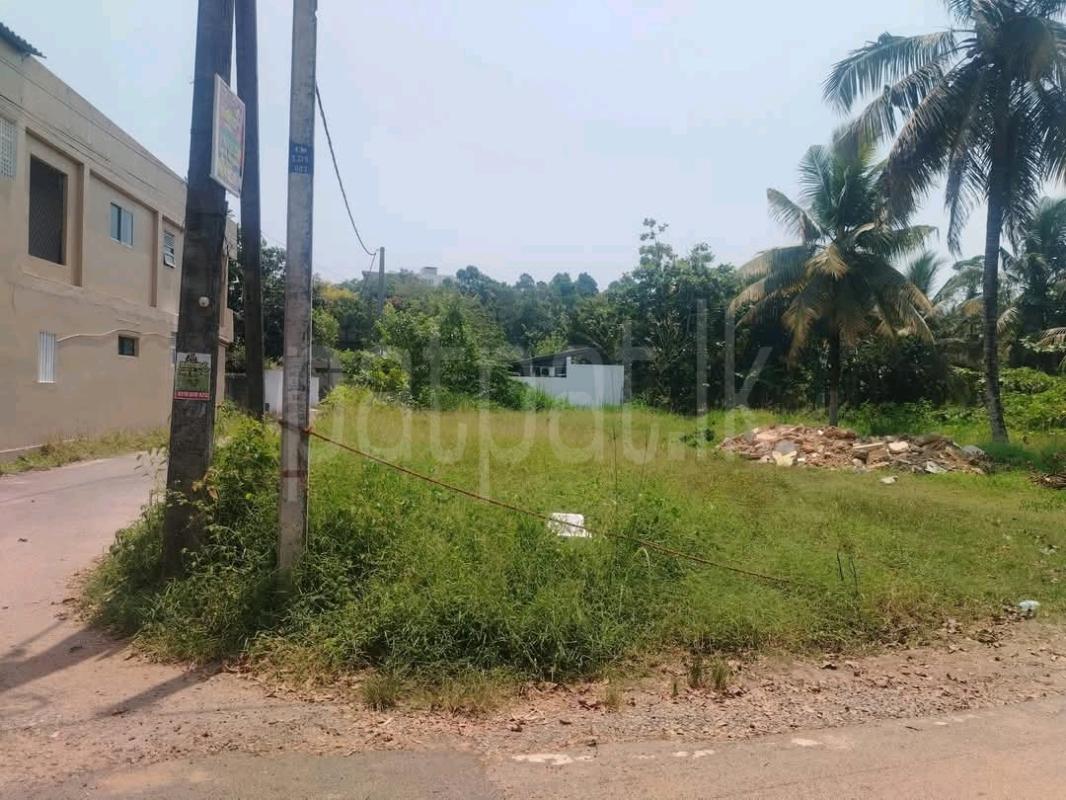 Commercial Land for Sale in Talawatugoda ads-image-1