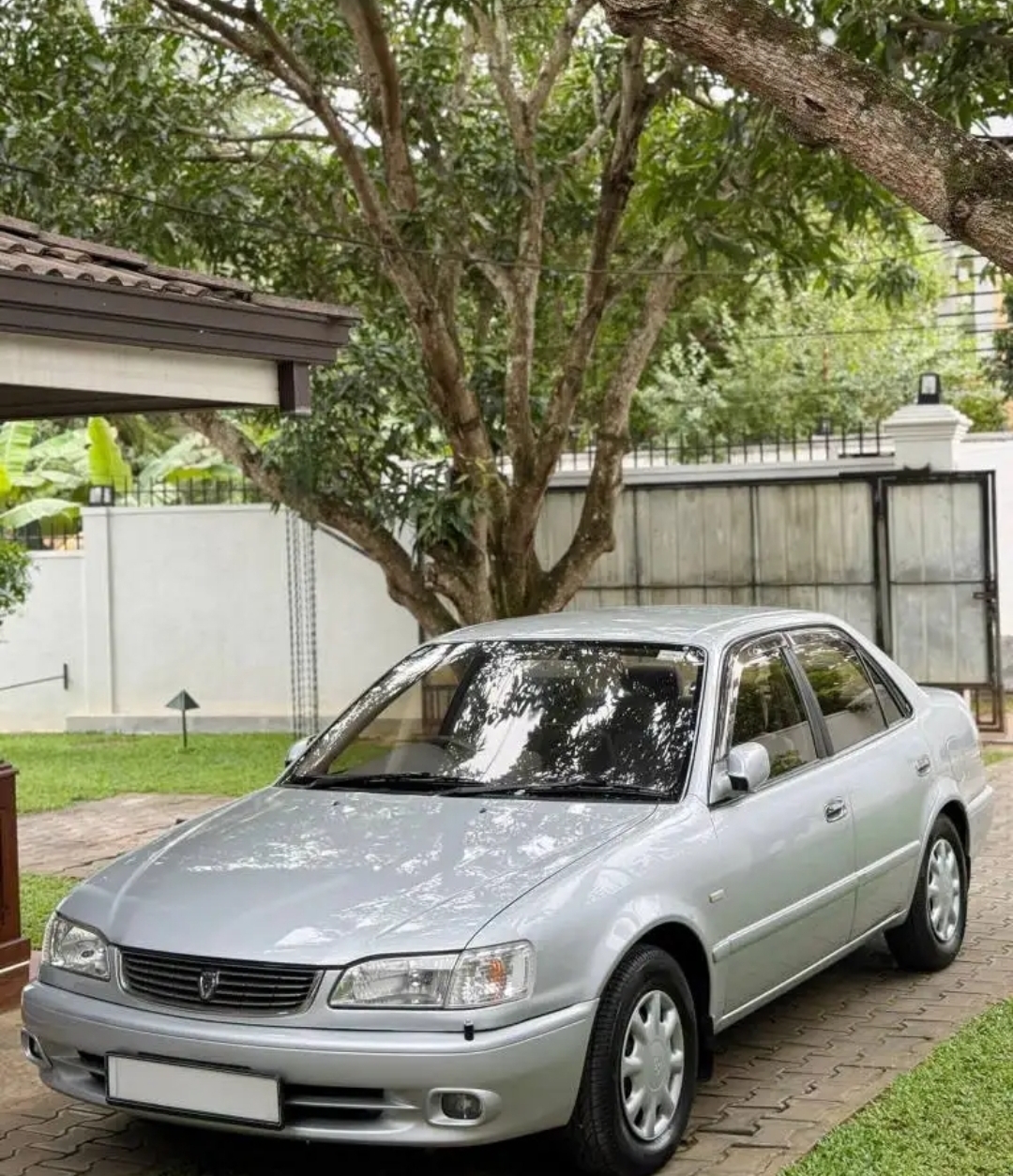 Advertisement image 3