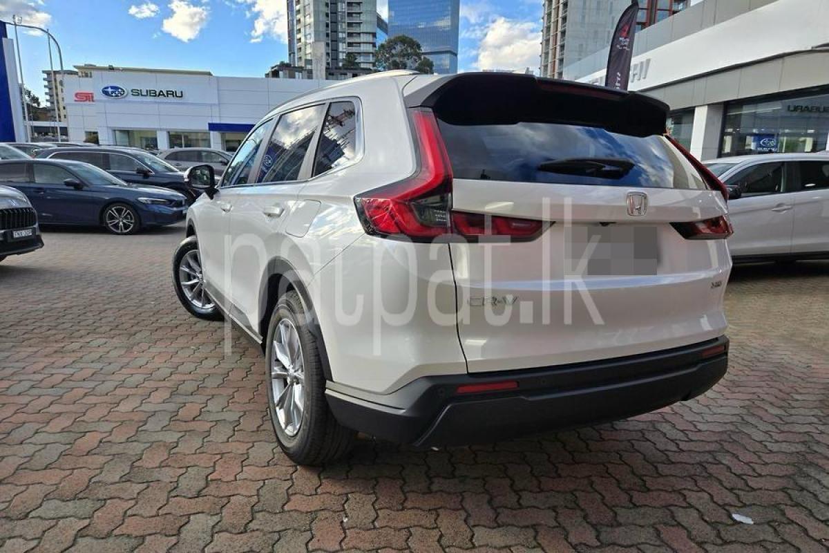 Advertisement image 2