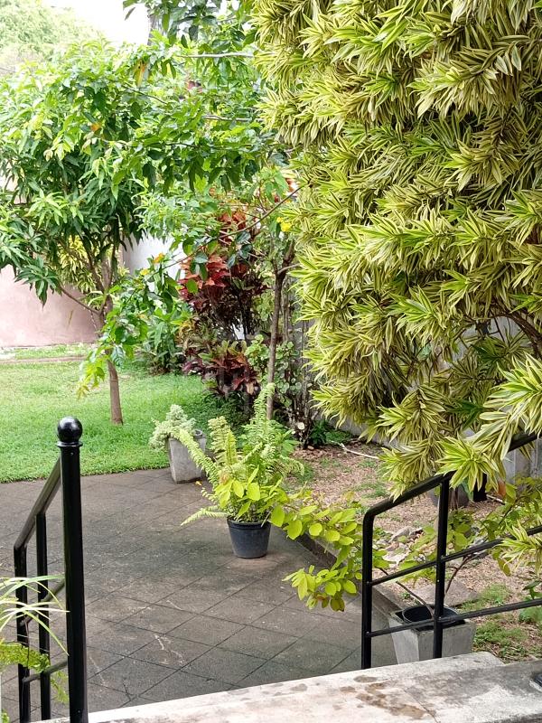 premium-listing-image