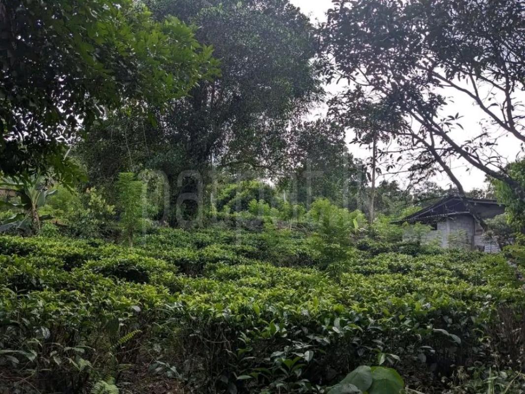 House for Sale in Matugama ads-image-1