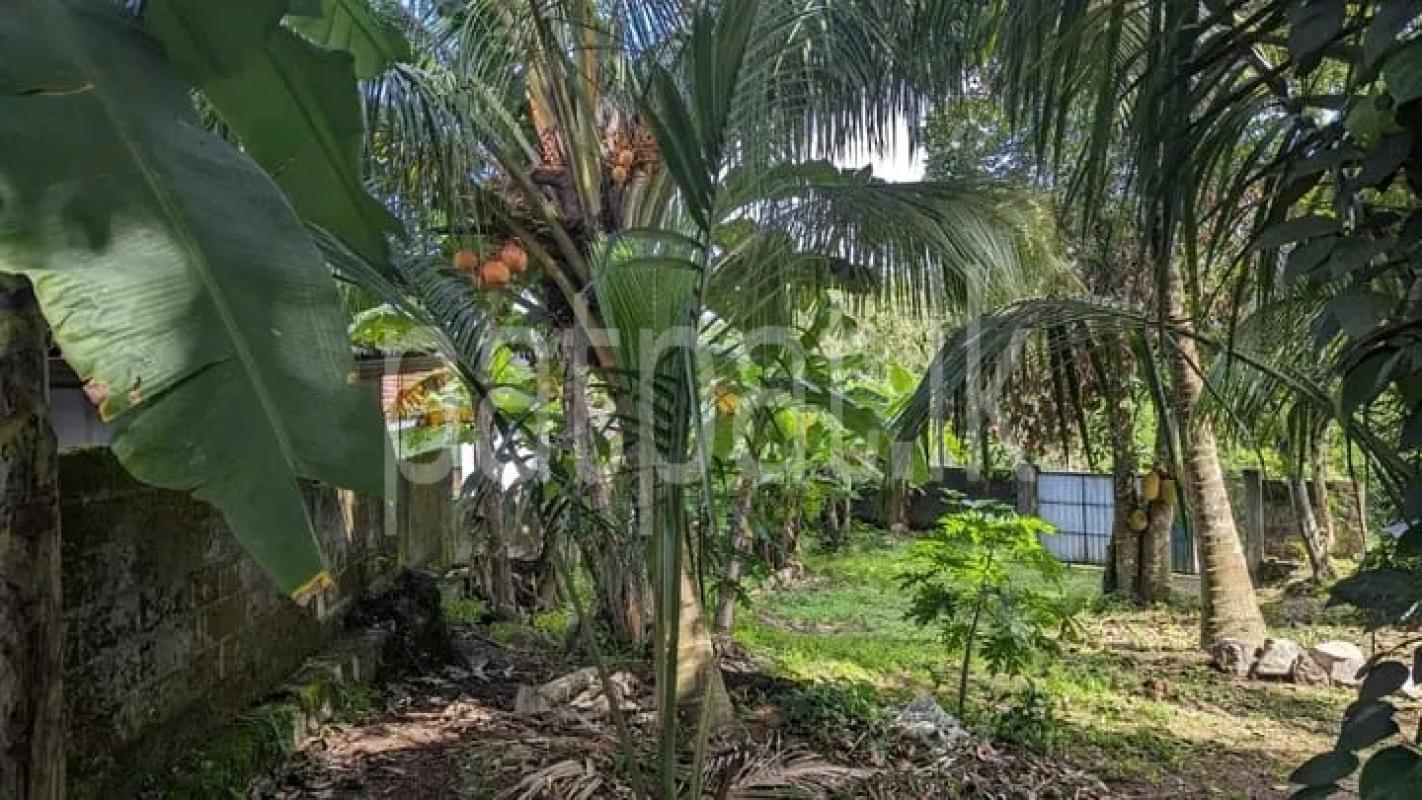 Residential Land for Sale in Seruwila ads-image-1