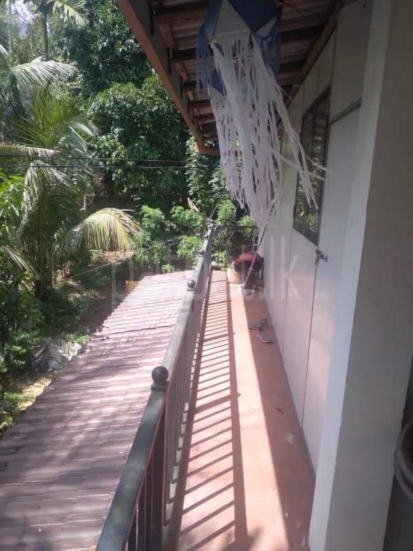 House for Rent in Pilimatalawa