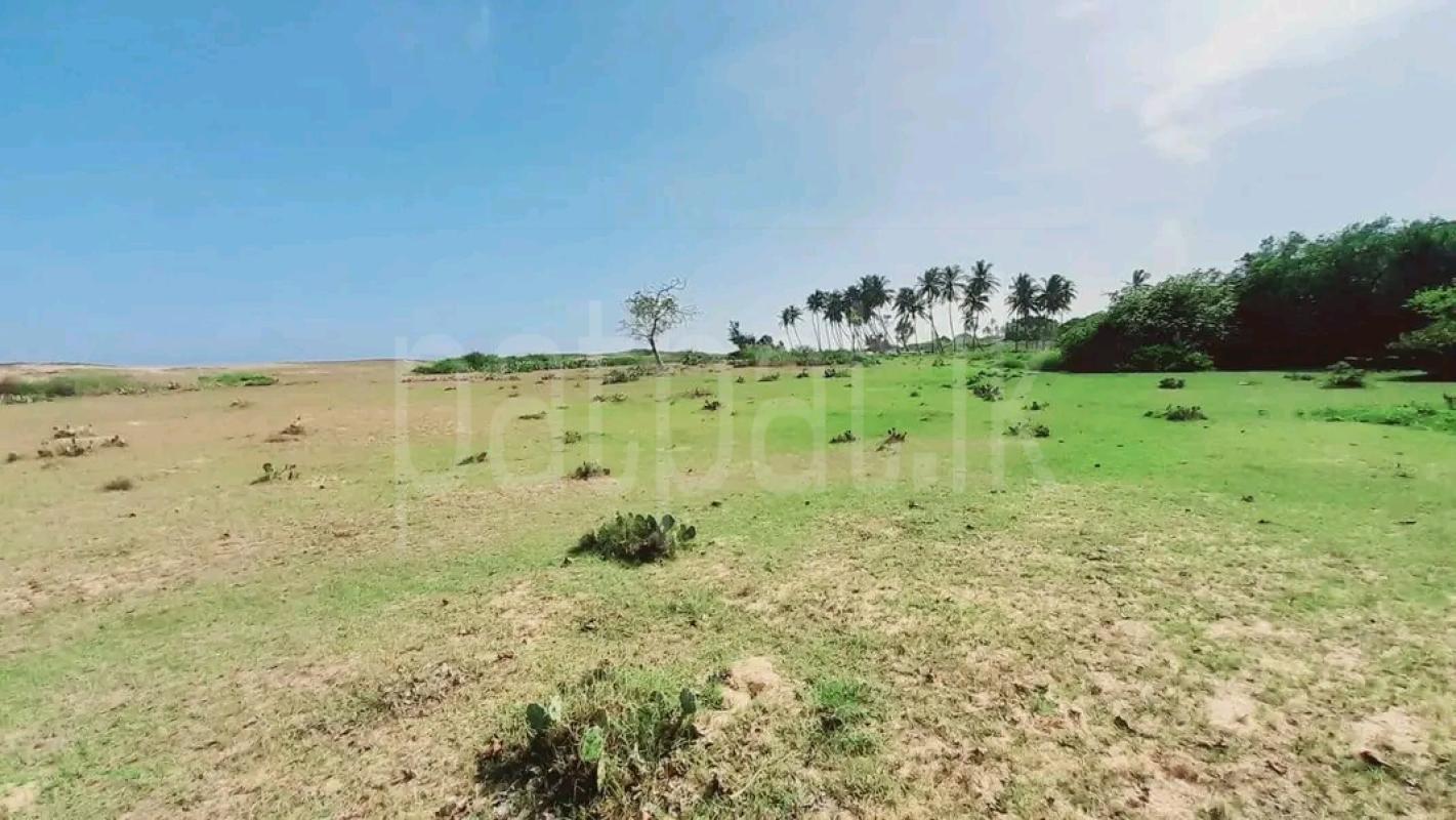 Residential Land for Sale in Weligama