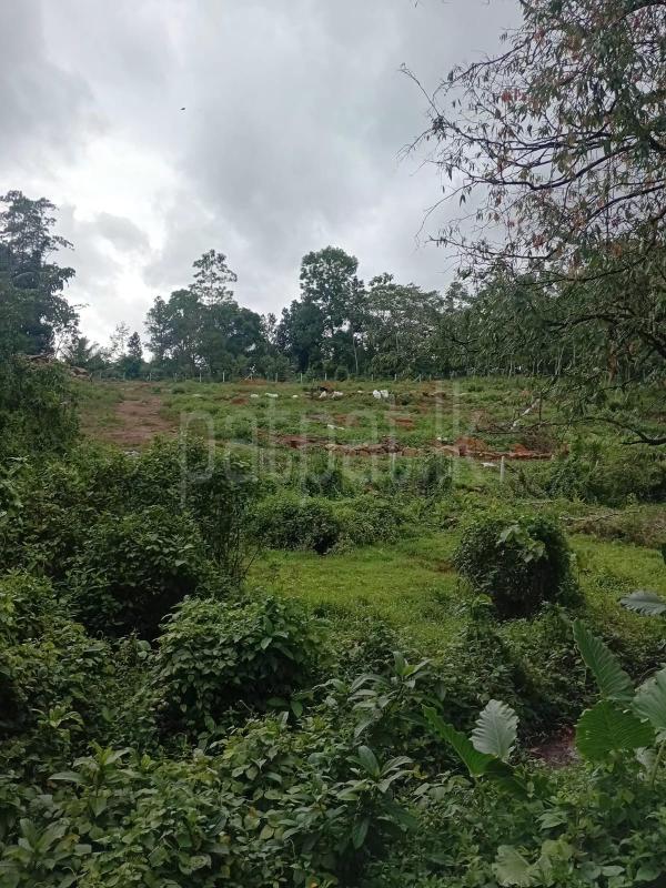 Residential Land for Sale in Padukka