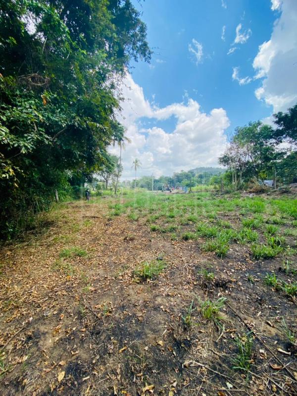 Commercial Land for Sale in Narammala