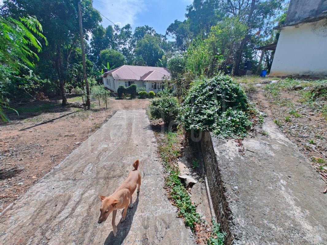 Building for Rent in Bandarawela ads-image-1