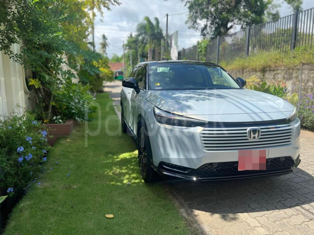 Advertisement image 1