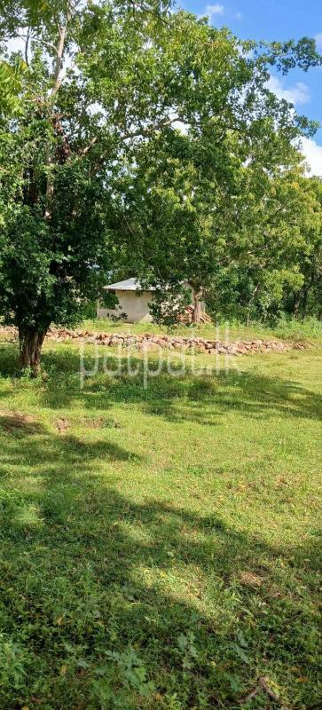 Residential Land for Sale in Kataragama