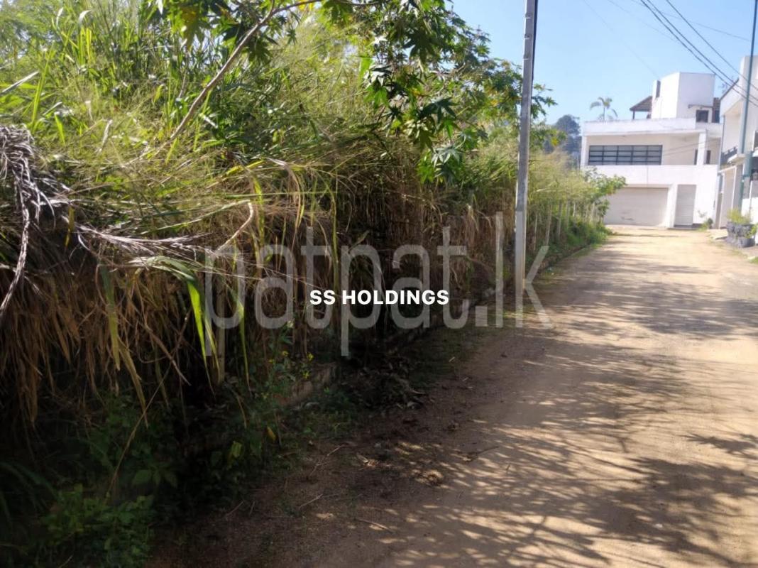Agricultural Land for Sale in Bandarawela
